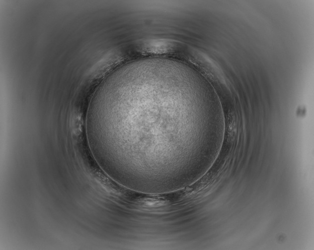 X0000097600555200803071431