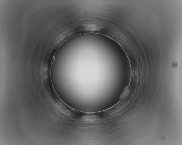 X0000097600556200803071431