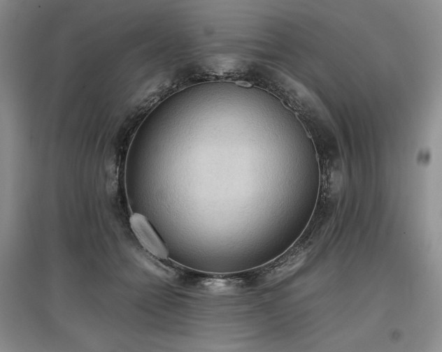 X0000097600558200803071431