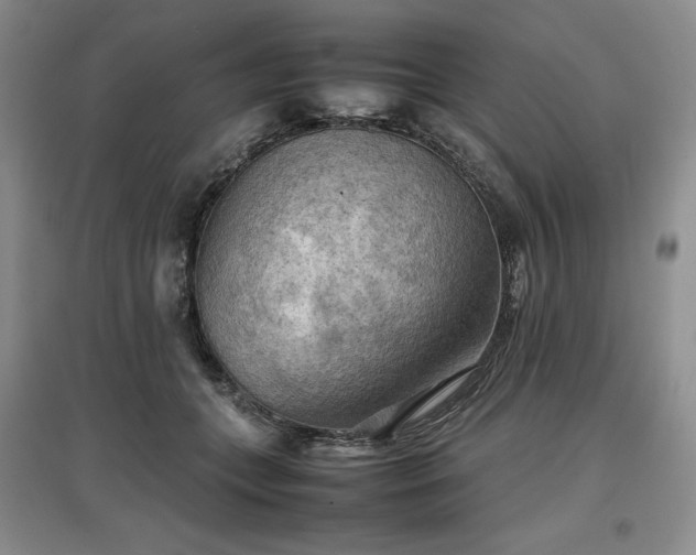 X0000097600559200803071432