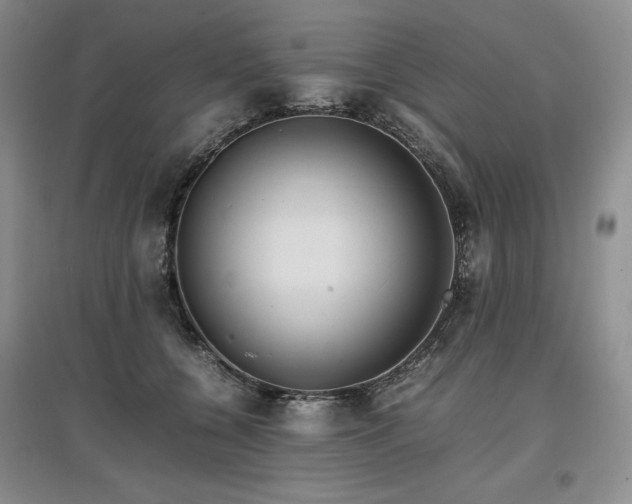 X0000097600560200803071432