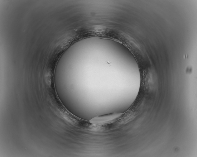 X0000097600562200803071432