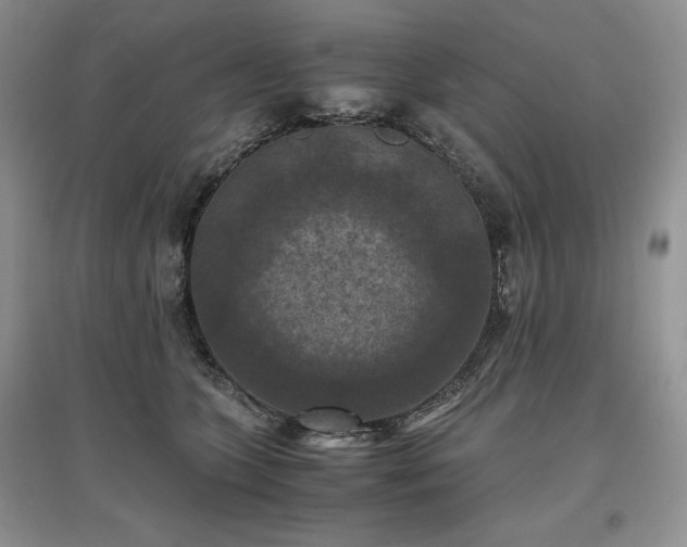 X0000097600563200803071432