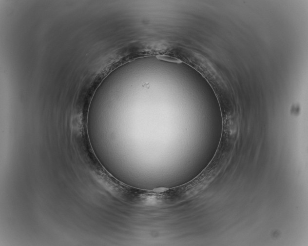 X0000097600564200803071432