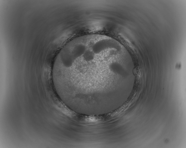 X0000097600565200803071432