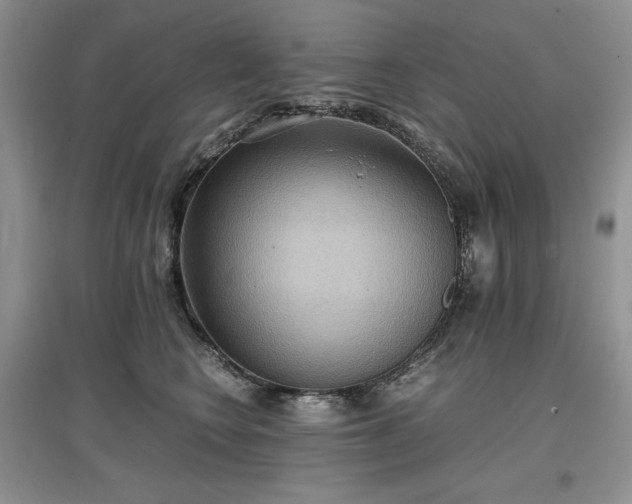 X0000097600566200803071432