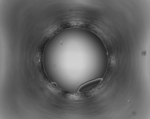 X0000097600567200803071432