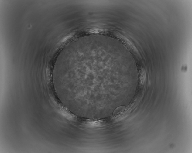 X0000097600569200803071432