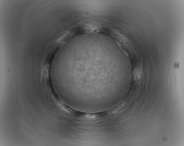 X0000097600570200803071432