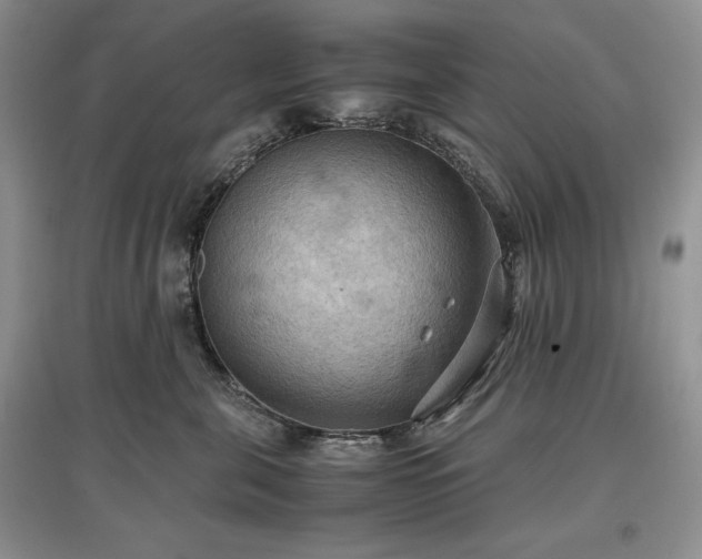 X0000097600571200803071432