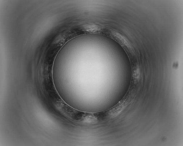X0000097600572200803071432