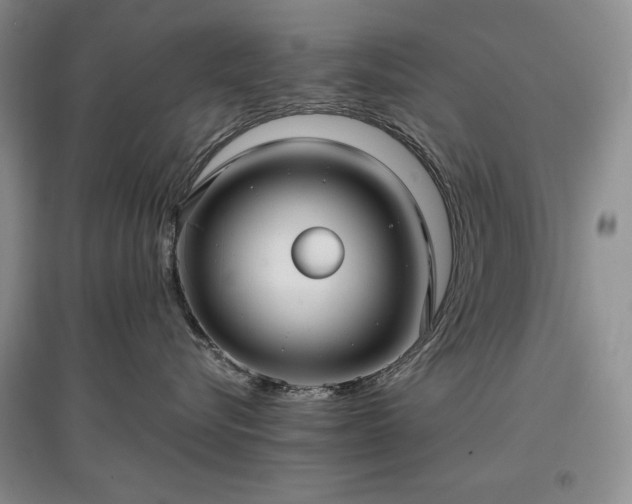 X0000097600576200803071432