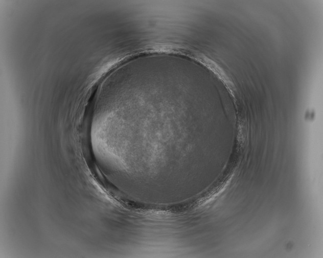 X0000097600577200803071431