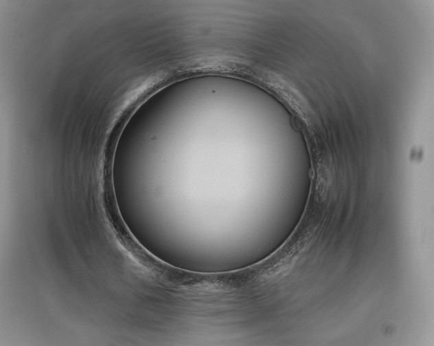 X0000097600578200803071431