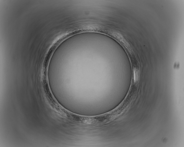 X0000097600579200803071431