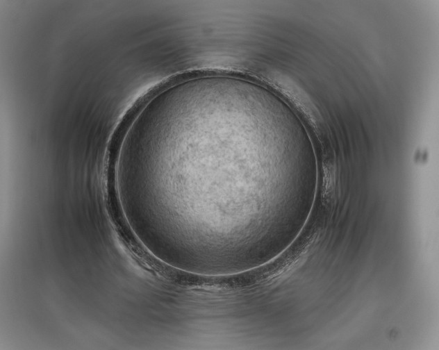 X0000097600580200803071431