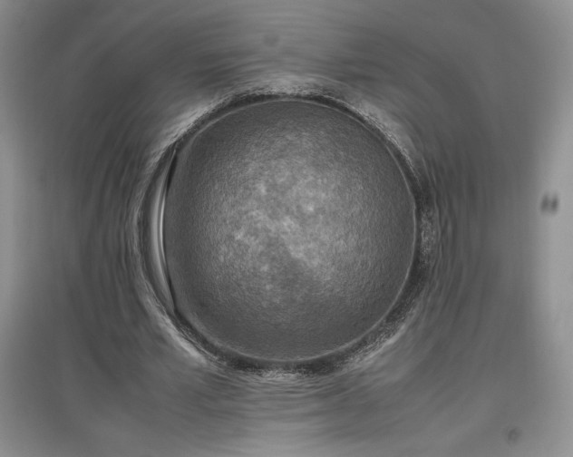 X0000097600581200803071431