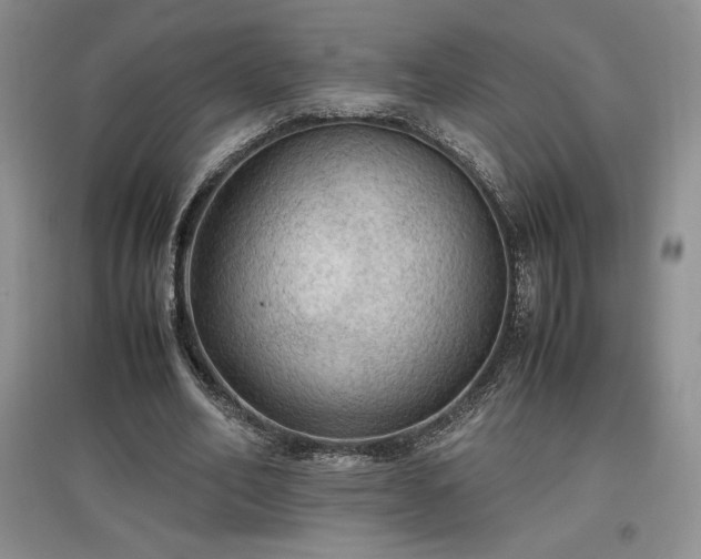 X0000097600582200803071431