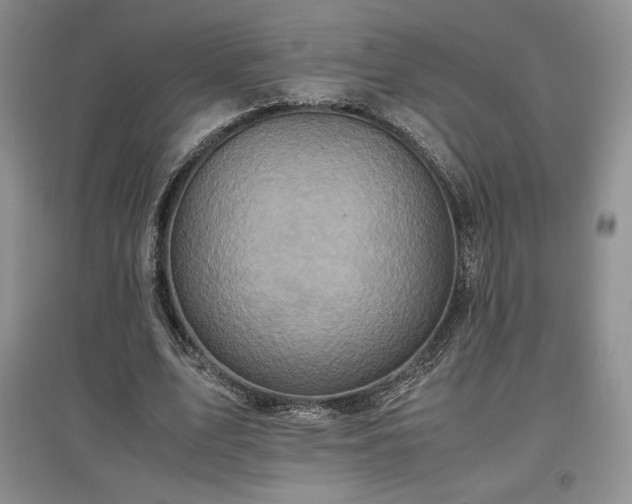 X0000097600583200803071431