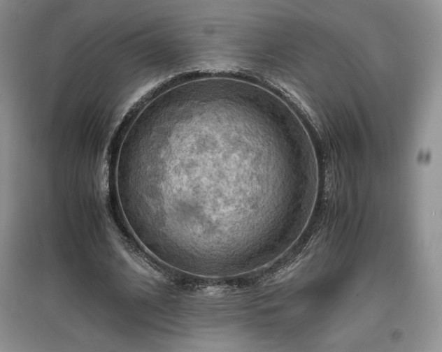 X0000097600584200803071431