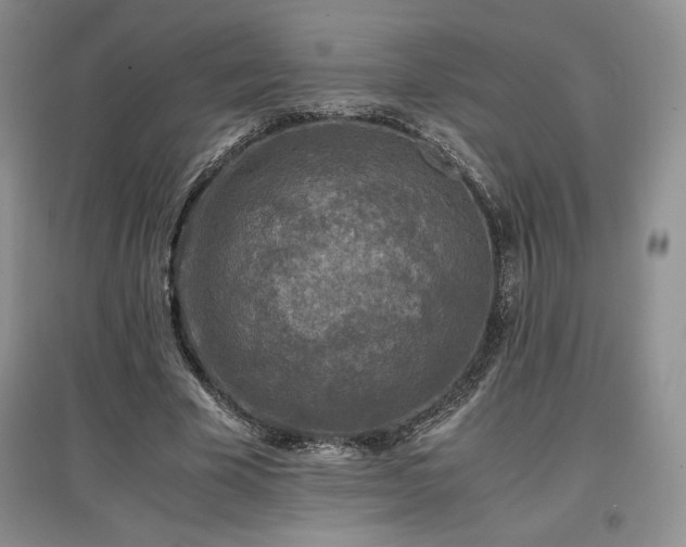 X0000097600585200803071431