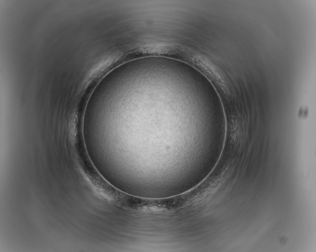 X0000097600586200803071431