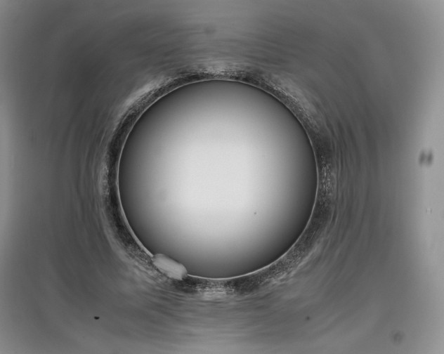 X0000097600587200803071431