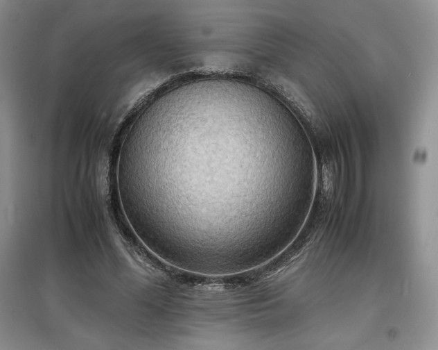 X0000097600588200803071431