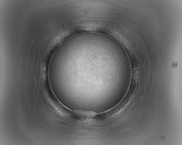 X0000097600589200803071431