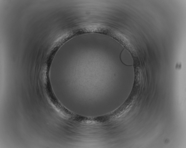 X0000097600590200803071431