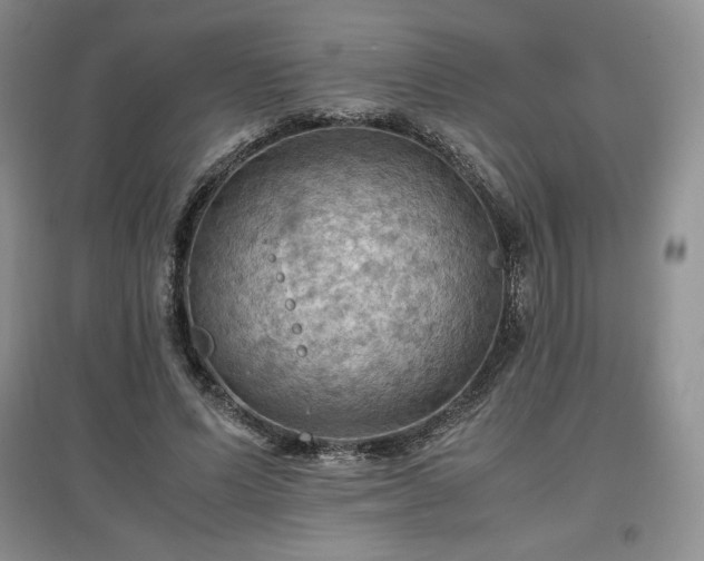 X0000097600591200803071431