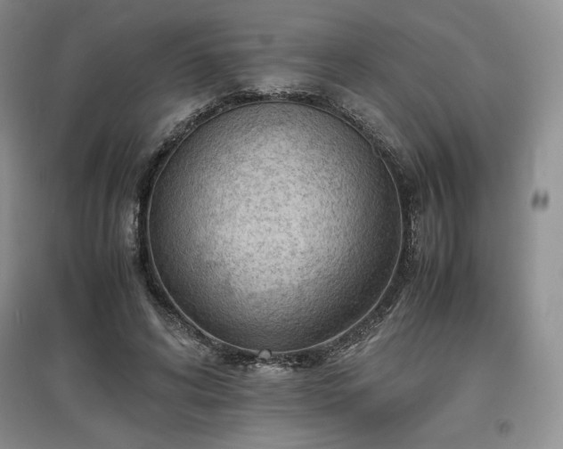 X0000097600592200803071431