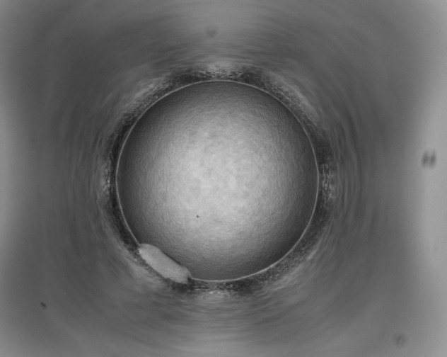 X0000097600593200803071431