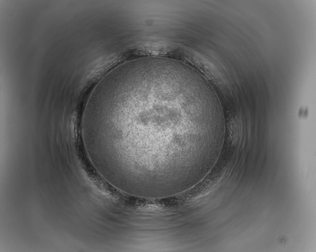 X0000097600594200803071431