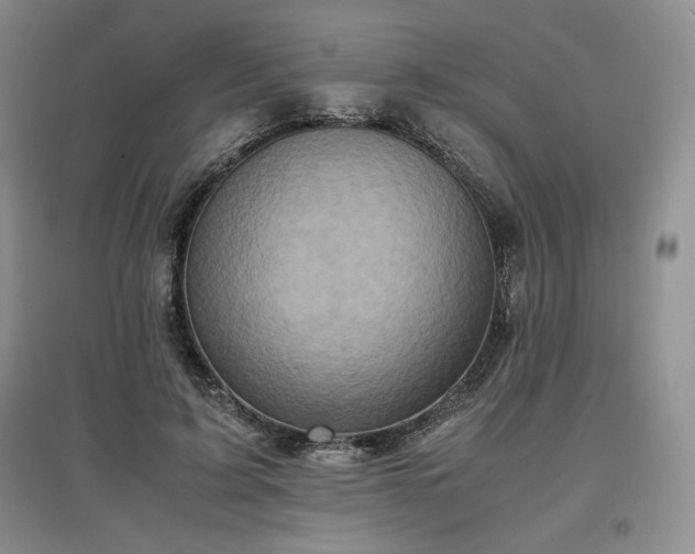 X0000097600595200803071431