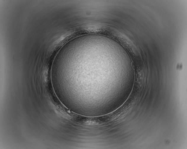 X0000097600596200803071431