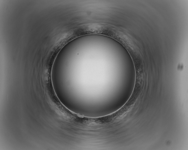 X0000097600597200803071431