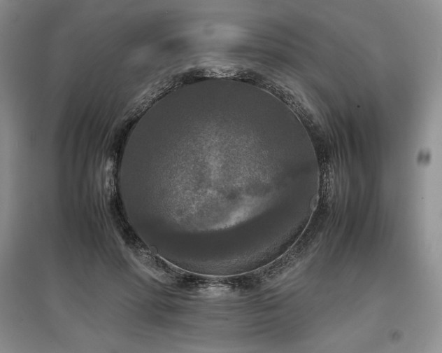 X0000097600598200803071431