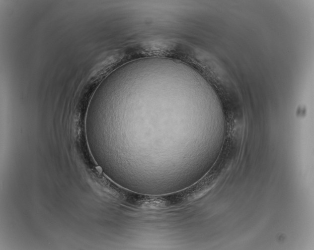 X0000097600599200803071431