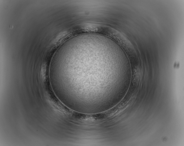 X0000097600600200803071431