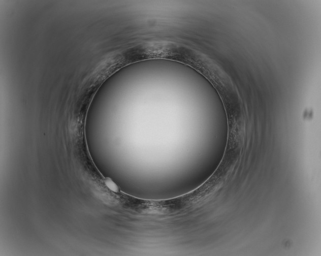 X0000097600601200803071431