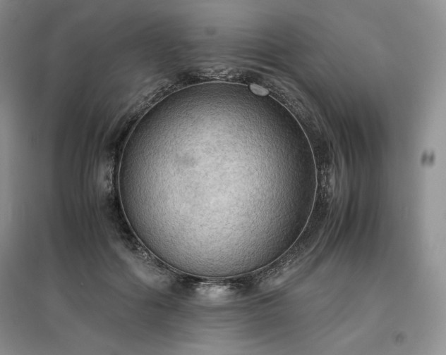 X0000097600602200803071431
