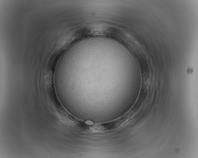 X0000097600603200803071431