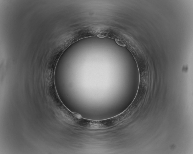 X0000097600605200803071431