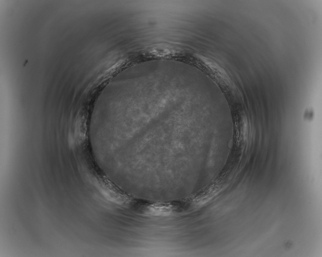 X0000097600606200803071431