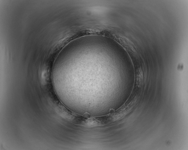 X0000097600608200803071431