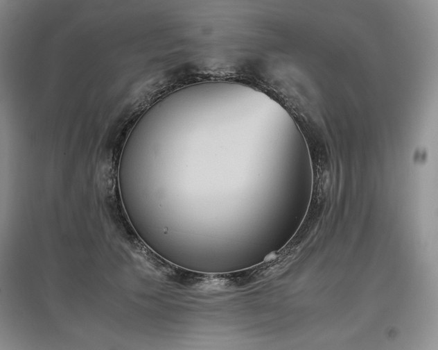X0000097600609200803071431