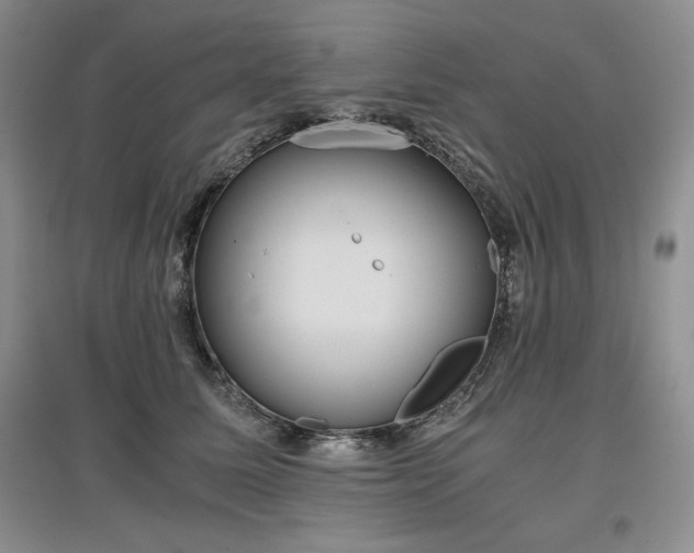 X0000097600611200803071431