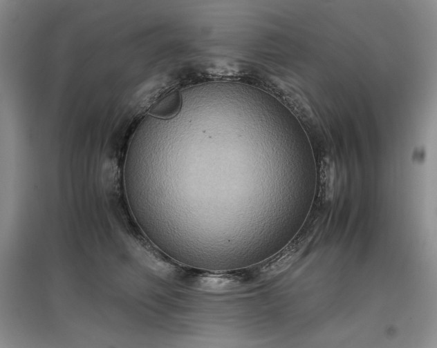 X0000097600614200803071431