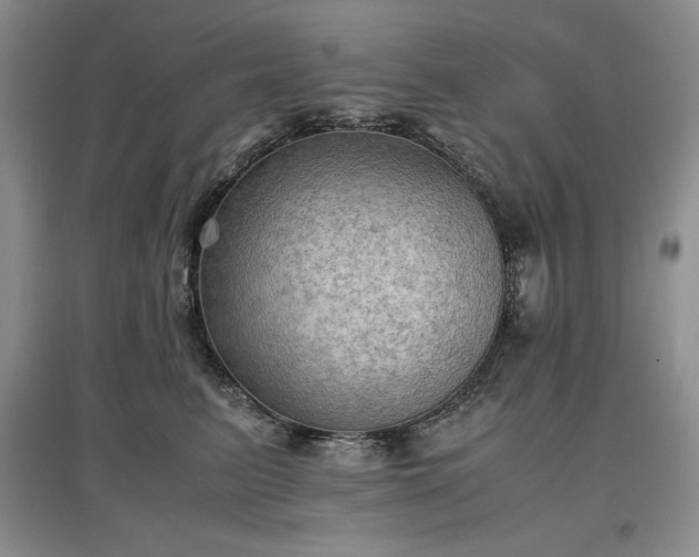 X0000097600615200803071431